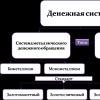 Элементы денежной системы Современная денежная система Российской Федерации